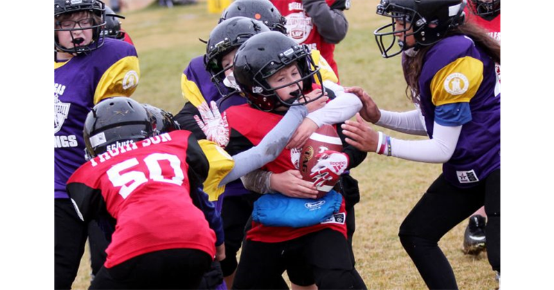 2022 FALL SEASON
